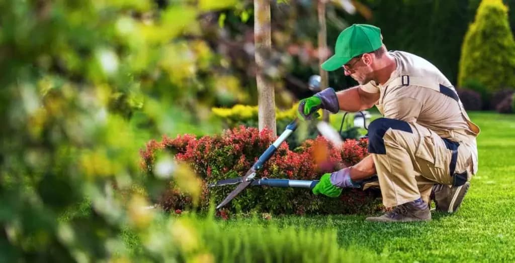 Kreative Außenanlagen mit Stil – Experten im garten Landschaftsbau Wolfenbüttel