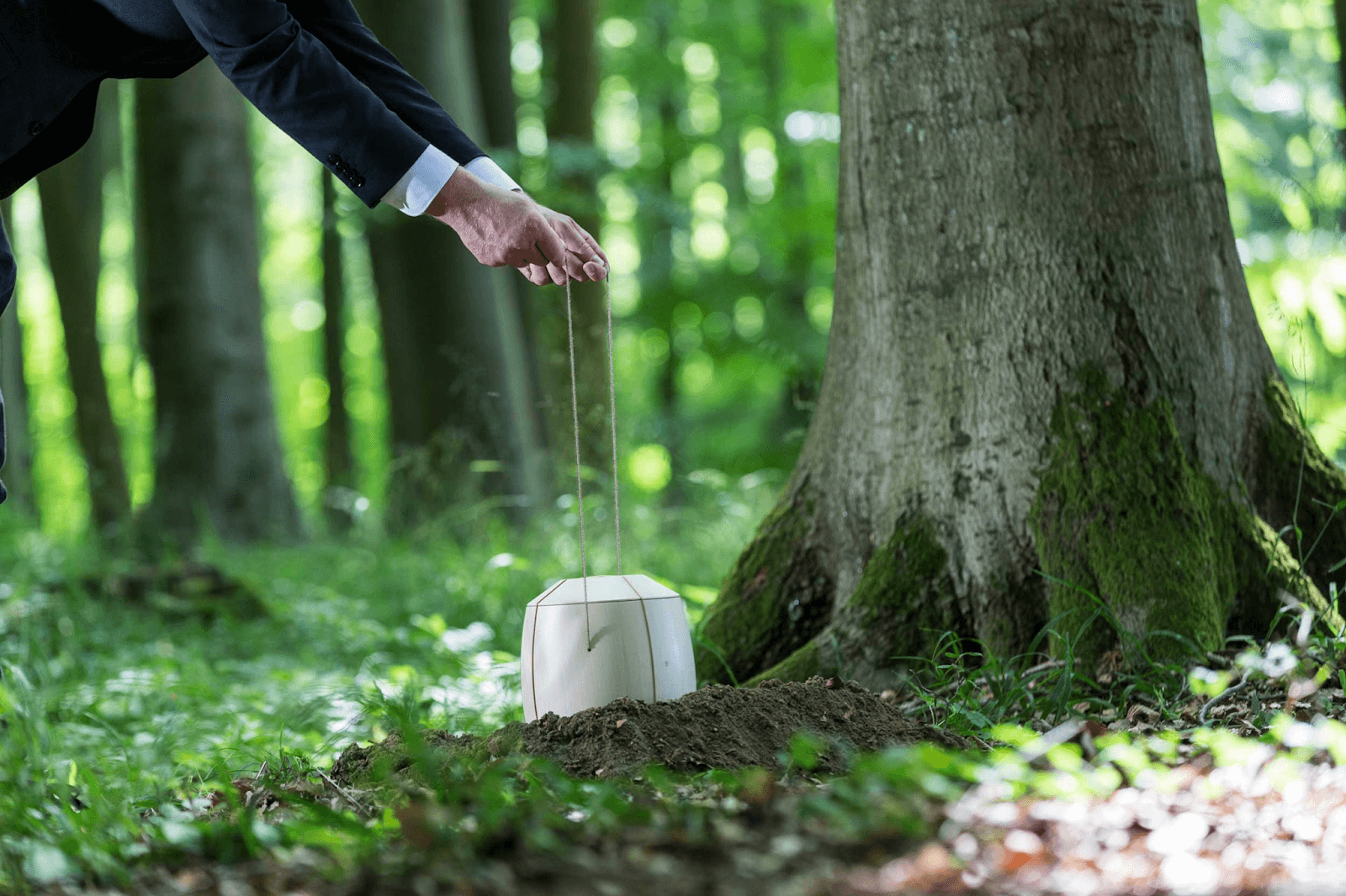 Wie eine Waldbestattung Ihnen hilft, den Verlust auf natürliche Weise zu verarbeiten