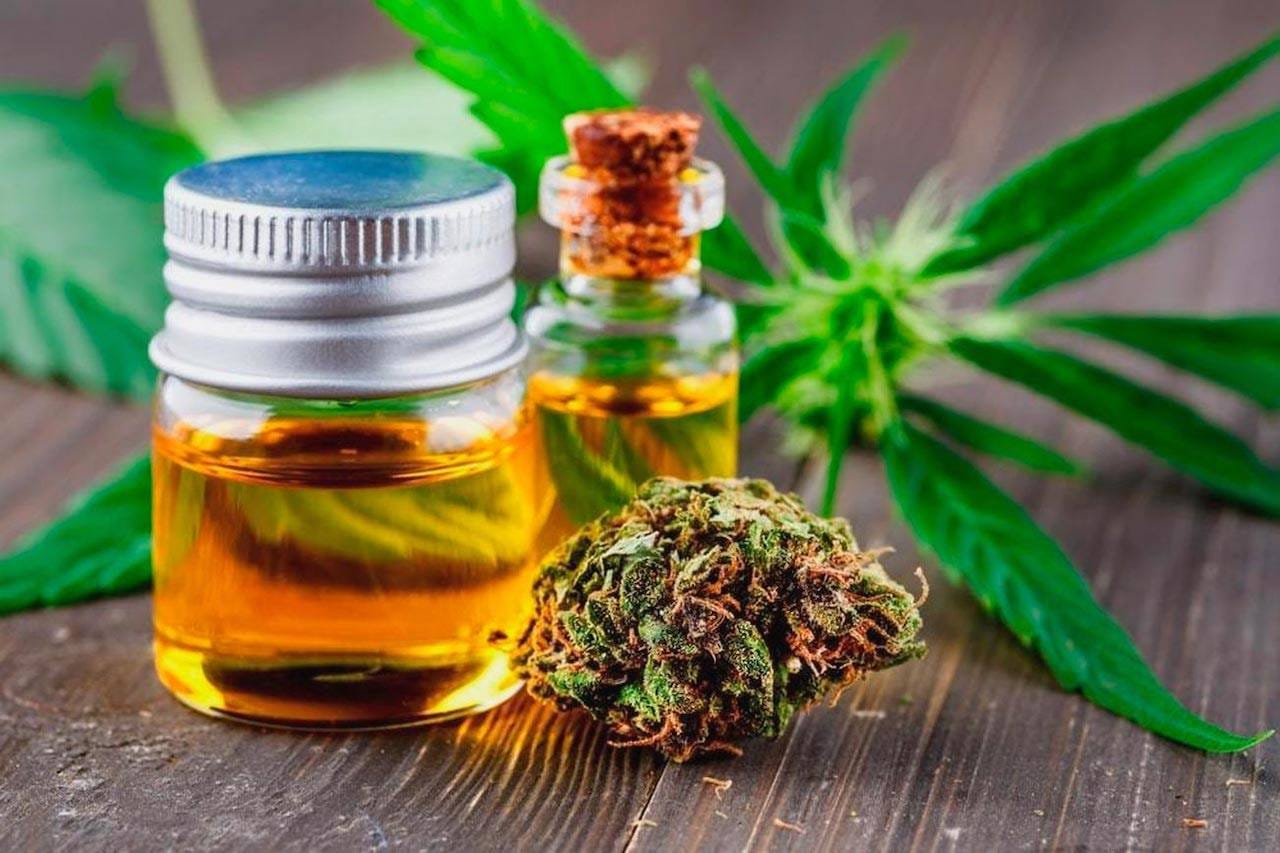 Erforschung der krampflösenden Eigenschaften von CBD-Öl: Hoffnung für Epilepsiepatienten