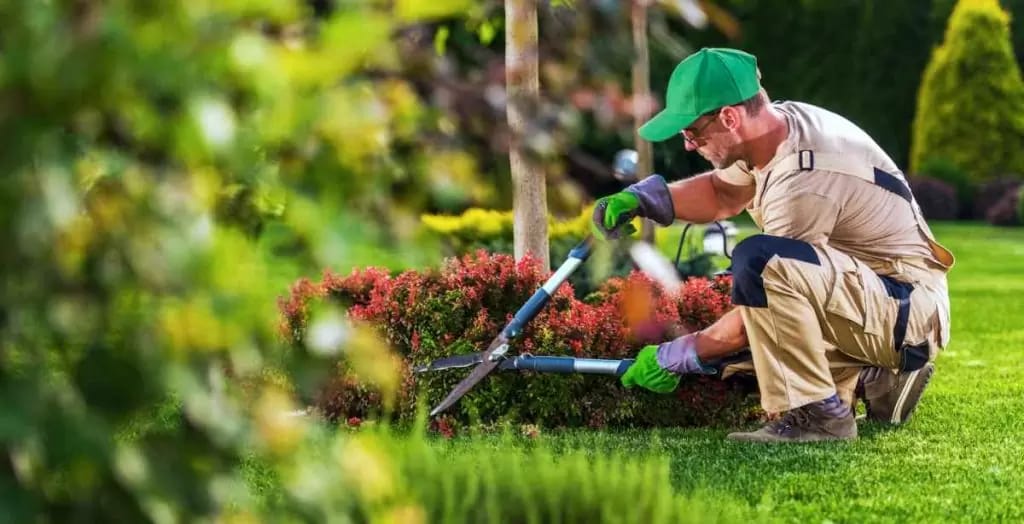 Kreative Außenanlagen mit Stil – Experten im garten Landschaftsbau Wolfenbüttel