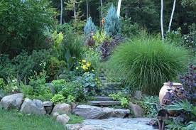 Levevents Gartenalchemie: Ideen in Blüten verwandeln